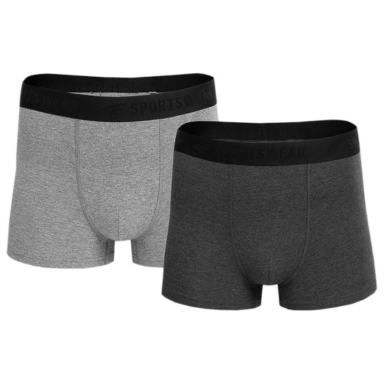 4F Ανδρικό εσώρουχο boxer 2-Pack